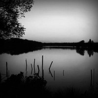 /album/vinoteka-trafo/photolia-b01-jpg/